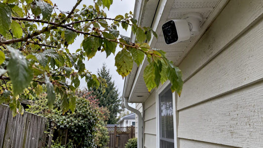 Outdoor camera facing wind-blown branches