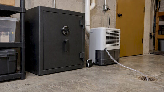 Basement safe beside dehumidifier and hygrometer