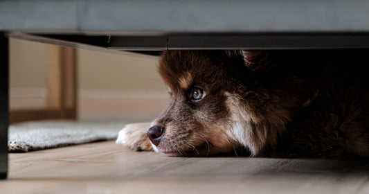 Best Residential Floor Safes 2026: Top 5 Ranked