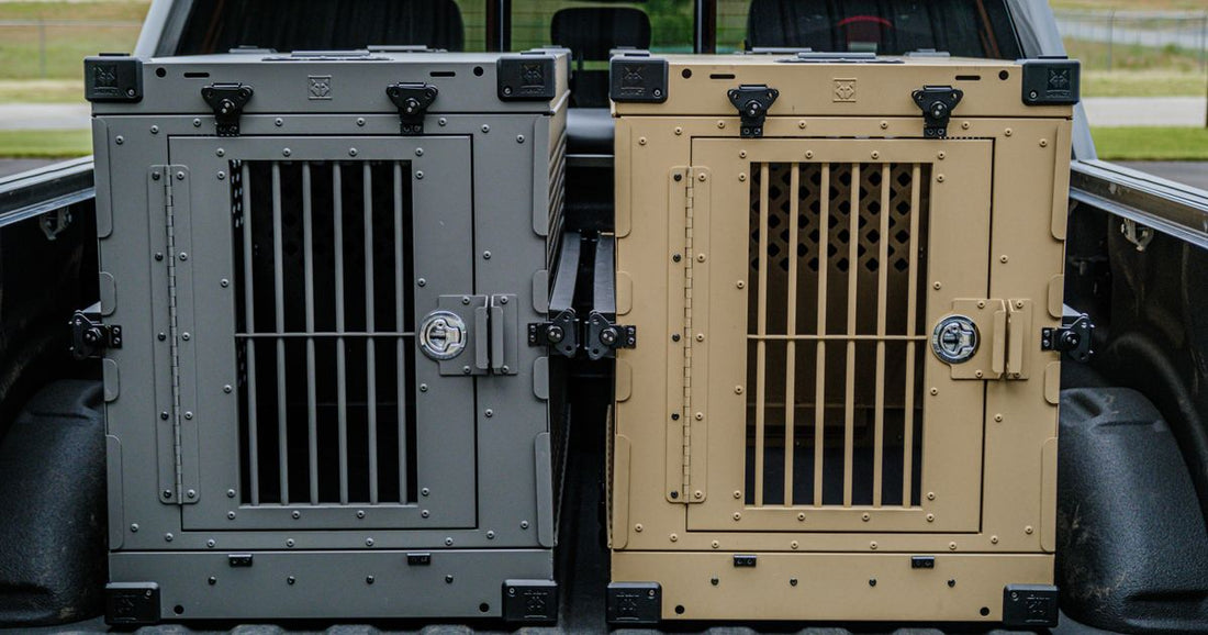 Best Sturdy Safes 2026: Top 5 Ranked for Home Security