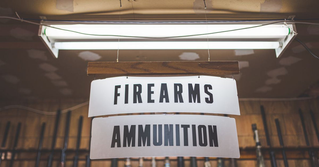 Best Gun Safes 2026: Top 5 Ranked & Compared