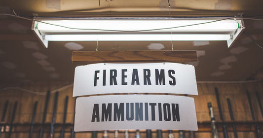Best Gun Safes 2026: Top 5 Ranked & Compared